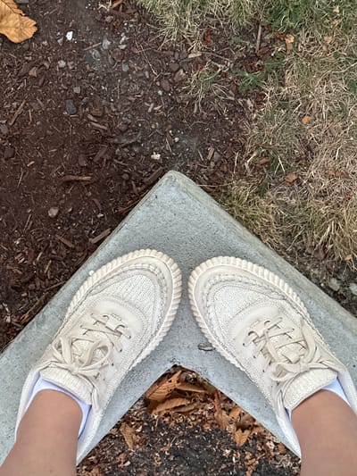 A top-down perspective of two feet wearing light-colored sneakers and white socks, positioned on a concrete corner. The ground consists of dirt, wood chips, and dry grass. The image appears to be taken outdoors.