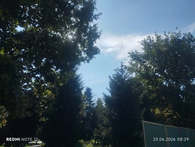 This image captures an outdoor scene, likely during the daytime, with a clear blue sky and scattered white clouds. The foreground is dominated by the dark silhouettes of lush green trees, with sunlight filtering through their leaves, creating bright spots. In the lower left corner, "REDMI NOTE 12" is visible, indicating the device used for the photograph. The lower right corner displays a timestamp: "23.06.2026 08:29". The background reveals more trees, appearing as dark green masses against the sky, with some lighter green foliage visible in between. In the far background, there are what appear to be dark green fences or panels. No people are visible in the image. The overall impression is of a natural, possibly park-like setting within a city, given the presence of the text and timestamp often found on phone-captured images. The location provided is Karakol City, Kyrgyzstan.