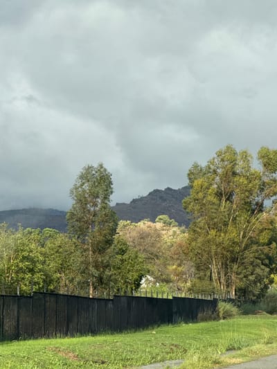 The image depicts a landscape scene in Drakenstein Nu, South Africa. A dark, corrugated fence runs along the right side of the image, separating a grassy area with a sidewalk from a wooded area. Trees are visible on both sides of the fence. In the background, a steep, rocky mountain rises, partially obscured by heavy grey clouds. The sky is overcast, suggesting a cloudy or rainy day.