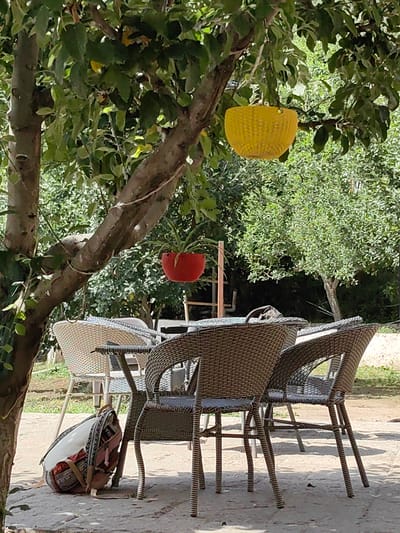 This image depicts an outdoor seating area at a cafe or restaurant in Siumsa, India. The scene is set beneath the dappled shade of trees, with lush green foliage forming a backdrop. Several wicker chairs and tables are arranged on a stone patio. One wicker chair in the foreground is dark brown, with a lighter-colored patterned cushion visible on its seat. Another identical chair is positioned to its right. Further back, a white wicker chair is partially visible, with a table set between it and the dark brown chairs. A backpack with a tribal pattern is resting on the stone ground to the left, leaning against the trunk of a tree. Two hanging planters are visible: a yellow basket-shaped planter hangs from a tree branch on the right, and a red planter with a green plant hangs from a branch on the left. The overall atmosphere suggests a tranquil outdoor dining or resting spot.