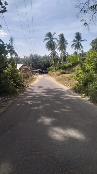 The image shows a paved road in Meunasahkrueng, Indonesia. The road curves to the left and is lined with lush green vegetation and palm trees. On the left side of the road, there are some buildings with thatched roofs, suggesting a rural or semi-rural settlement. Utility poles with power lines are visible, indicating the presence of electricity. The sky is bright blue with scattered clouds, and sunlight casts shadows on the road, indicating it is daytime. The overall scene depicts a tropical environment with a quiet, unassuming atmosphere.