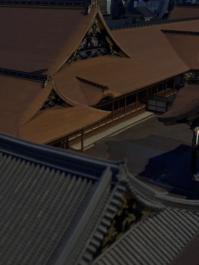 This is an aerial, high-angle, medium shot of a traditional Japanese building, likely a temple or palace, with multiple tiled roofs. The roofs are predominantly reddish-brown and have decorative eaves. Some sections of the building appear to be made of wood and feature open-air walkways with railings. The architecture suggests a historical setting, possibly in Sumida, Japan, known for its cultural heritage. The ground area visible appears to be a courtyard with dark paving and shadows cast by the structures. The lighting suggests it is either early morning or late evening, as shadows are long and pronounced. No people are clearly visible in the image, and the scene is static and devoid of activity.