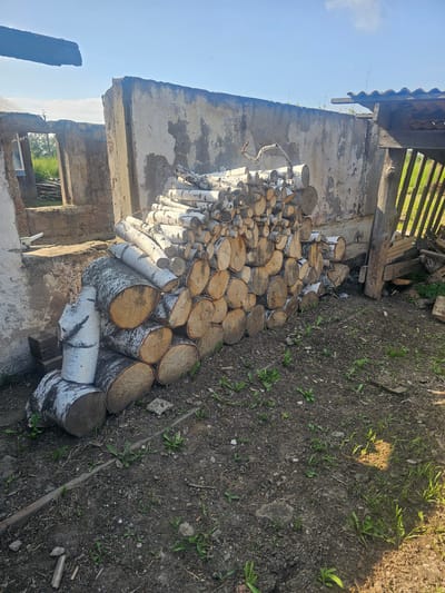 A large pile of freshly cut birch logs is stacked against a dilapidated concrete wall. The logs, varying in diameter and length, are positioned horizontally and at an angle, some appearing to be split. The ground beneath the logs is composed of dark soil with scattered green vegetation and small stones. To the right of the woodpile, a rustic wooden structure with a corrugated roof is visible, supported by wooden posts. Further to the right, additional wooden planks and debris are stacked. In the background, the remains of a damaged building with exposed concrete and openings are apparent. The sky above is a clear, bright blue with a few wispy clouds. This scene is located in Georgievka, Russia, as indicated by the presence of natural elements and building materials consistent with rural or semi-rural settings in the region.