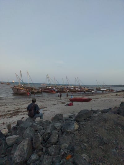 The image captures a coastal scene in Bagamoyo, Tanzania, likely during an overcast day or at dusk/dawn, given the soft, diffused lighting and the muted blue-gray sky. The viewpoint is slightly elevated, looking down upon a beach area.
In the immediate foreground, a rough embankment of dark, irregularly shaped rocks occupies the right side of the frame. A person, wearing a dark jacket and light-colored pants, is seated on these rocks, facing away from the viewer and observing the activity on the shore below.
The midground reveals a wide expanse of sandy or muddy beach, indicative of low tide. A line of numerous traditional wooden fishing boats, possibly dhows, are beached along the waterline. Many of these boats feature tall masts. A distinct red, smaller boat or dinghy is also visible on the sand among the larger vessels. Several other human figures are scattered across the beach, near the boats, appearing to be engaged in various tasks, such as standing, moving, or interacting with the boats. One person near the red boat is notably wearing a red garment.
The background shows the calm waters of the sea or a bay stretching towards a hazy horizon, with a distant landmass faintly visible. The overall scene suggests a bustling fishing village or harbor, depicting the routine activities of preparing or mooring boats. No discernible text is visible within the image. The atmosphere appears tranquil and industrious.