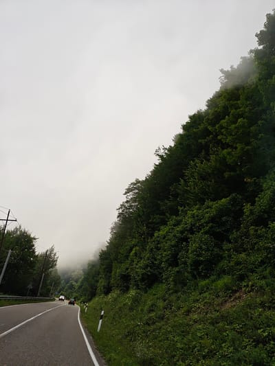 An overcast day in Tkibuli, Georgia, showcases a winding asphalt road cutting through a lush, forested mountainside. The road, marked with white lines, curves gently to the left, with a metal guardrail bordering the inner edge and a grassy slope dotted with white and black striped markers on the outer edge. Two cars are visible on the road, heading away from the viewer. The left side of the road is lined with dense green trees and utility poles. The right side of the road is a steep incline covered in thick vegetation and trees, with a hazy, fog-covered forest extending into the background. The sky is a uniform pale gray, suggesting low visibility or a heavily clouded day.