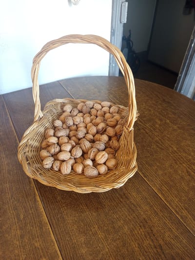 A wicker basket filled with walnuts sits on a wooden table. The basket has a curved handle. The table is made of dark wood planks. In the background, a doorway leads to a dimly lit room where a bicycle is visible. The scene is indoors, in what appears to be a home. The overall lighting is moderate. No people are present in the image. There is no indication of the location being in the city of Nancy, France.