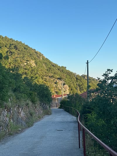 The image depicts a paved pathway winding upwards through a hillside landscape near Čučuci, Montenegro. The path is bordered on the left by a rocky embankment covered in sparse vegetation, and on the right by a red metal railing. Lush green trees and bushes line the sides of the path and cover the steep hillside that dominates the left and upper portions of the frame. In the distance, glimpses of red-tiled roofs indicate the presence of buildings nestled among the foliage. A utility pole with wires is visible against the clear blue sky. The scene appears to be captured in natural daylight, likely during the late afternoon or early morning, given the long shadows and the warm illumination of the vegetation. There are no people or animals visible in the image.