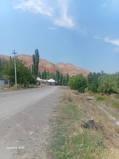 The image depicts a rural scene in Kojo-Aryk, Kyrgyzstan, featuring a paved road that curves towards the right. To the left of the road, there is a single utility pole with wires and several tall, slender trees. Further left, a small building or shed is partially visible. Beyond the trees, several houses with pitched roofs and fences are situated. A gently sloping, reddish-brown hill forms the backdrop, with more trees scattered across its lower slopes. The right side of the image shows a dry, rocky creek bed or ditch lined with vegetation, including dry grasses and some green shrubs. The sky is clear blue with a few scattered white clouds. The overall impression is of a tranquil, arid rural landscape.