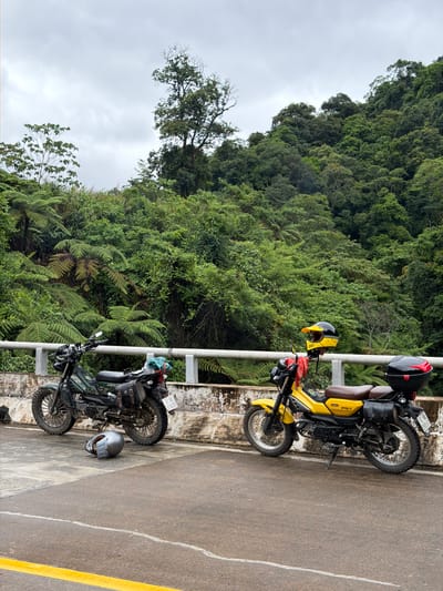 Two dirt bikes are parked on a bridge overlooking a dense, lush forest with a cloudy sky. The bike on the left is dark green and has a silver helmet lying on the ground in front of it. The bike on the right is bright yellow and has a black and yellow helmet attached to its handlebars. Both bikes are equipped with saddlebags and cargo racks. The bridge railing is made of metal and the wall below is weathered concrete. The road in the foreground is asphalt with a yellow line marking its edge. The location is the Thượng Trạch Commune, Vietnam, known for its mountainous terrain and dense forests.