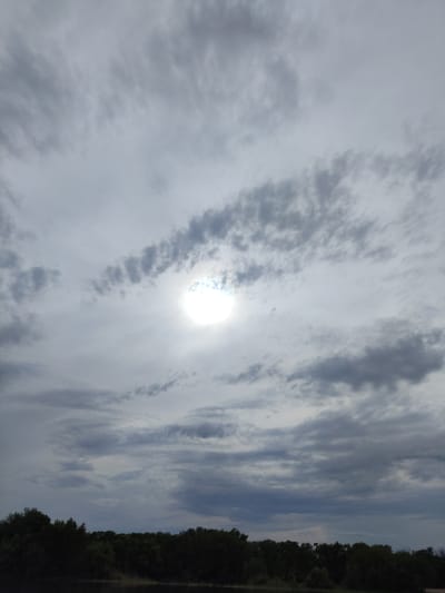 This is a vertical, eye-level photograph of a cloudy sky over a dark treeline, likely a forest, situated near a body of water. The sun is partially visible through a break in the clouds, creating a bright, hazy glow in the upper-middle portion of the frame. The clouds are varied in texture and density, ranging from wispy, scattered formations to thicker, more uniform layers. The overall impression is one of an overcast or partly cloudy day. The time of day is difficult to ascertain precisely, but the subdued light suggests it is not midday. The location cues, such as the dense forest and the presence of water, indicate a natural, possibly rural or wilderness setting. There is no visible text in the image. The mood conveyed is somewhat muted and serene, typical of cloudy weather conditions.