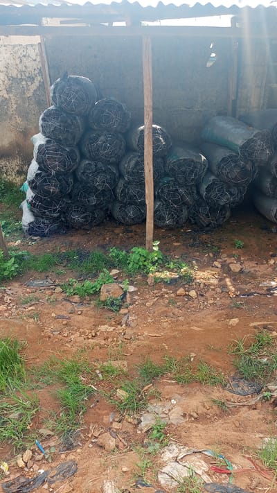 The image depicts a storage area, possibly an outdoor shed, with a corrugated metal roof supported by wooden beams. The scene is filled with numerous large, cylindrical objects stacked in piles. These objects appear to be sacks or bags, mostly dark in color and wrapped in a white netting or string. They are densely packed, suggesting a considerable quantity. A vertical wooden pole stands prominently in the center of the image, dividing the view of the sacks.

The ground in front of the sacks is uneven and covered with reddish-brown dirt, scattered rocks, and patches of green grass and weeds. There are also some visible pieces of debris and plastic waste on the ground, including black plastic bags and other refuse. The lighting suggests it is daytime, with sunlight casting shadows and creating a slightly hazy atmosphere. The overall impression is one of a functional but somewhat unkempt storage space, likely in a rural or semi-rural setting given the natural elements and the type of construction. The location context of Kagarko South, Nigeria, aligns with the visual cues of the environment. There is no visible text in the image. The activity taking place is storage of these bundled materials.