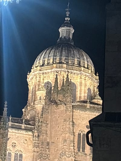 The image displays the dome and upper architectural sections of the New Cathedral (Catedral Nueva) in Salamanca, Spain, observed at night. The sky is dark, appearing deep blue-black, while the cathedral's stone facade is brightly illuminated by warm-toned artificial lighting. The central subject is a prominent, ribbed dome, featuring a balustraded base, a cylindrical lantern structure, and a tiered spire topped with a cross finial. Below the dome, multiple levels of the cathedral's intricate Gothic and Baroque stonework are visible, characterized by arched openings, decorative pilasters, and a series of ornate, pointed spires and buttresses adorned with intricate carving. Tall, narrow arched windows with tracery are discernible in the lower-right portion of the structure. A distinct, bright blue light source is present in the upper-left quadrant, casting a visible ray. On the far right edge, a dark, angular architectural element partially obscures the cathedral, suggesting a nearby structure or framing element. No human subjects are visible within the frame.