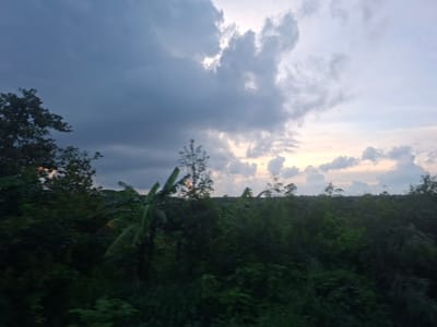 The image depicts a blurred landscape scene, likely captured from a moving vehicle, in Dong Nai City, Vietnam. The foreground is dominated by dense, dark green foliage, indicating a natural or rural environment with numerous trees and bushes. Some banana leaves are visible among the greenery. In the background, a treeline stretches across the horizon, with scattered trees of varying heights. The sky above is a mix of dark, heavy clouds on the left, transitioning to lighter, scattered clouds on the right, with a pale, soft light suggesting either dawn or dusk. The overall impression is one of natural, somewhat overcast conditions in a lush, green area. There are no visible people or specific man-made structures.