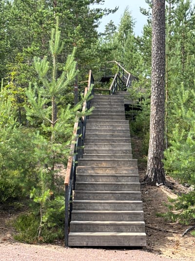 A long, wide wooden staircase with dark metal railings ascends through a dense forest of pine trees. The stairs are made of weathered, horizontal wooden planks. The forest floor is covered with pine needles and dry leaves, with some patches of green undergrowth and heather visible. In the background, the trees are tall and abundant, with a bright, slightly overcast sky visible through the canopy. The overall scene suggests a natural, outdoor setting, possibly a hiking trail or a viewpoint. The image is devoid of any people or animals. The location is specified as Peski, Russia.