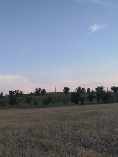 This media file captures a serene landscape under a pale blue sky, likely at dusk or dawn given the soft, diffused light and the subtle pink hues near the horizon. The scene is dominated by a grassy field in the foreground, transitioning into a gentle, undulating hill dotted with numerous trees. These trees, varying in size and density, create a natural, somewhat wild appearance. Power lines are visible stretching across the frame, supported by utility poles, suggesting a rural or semi-rural setting.
There are no people or specific objects of interest, emphasizing the natural beauty of the location. The weather appears calm, with a few wispy clouds adding texture to the sky. The overall mood is peaceful and tranquil, evoking a sense of quiet solitude. The location is identified as Kabanbay, Kazakhstan, which is a rural area known for its steppes and agricultural landscapes. The dry, golden grass in the foreground suggests a warm or dry climate. There is no visible text in the image.