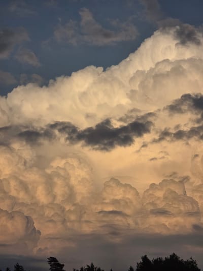 A dramatic sky over Valka, Latvia, is dominated by towering cumulonimbus clouds. The clouds are illuminated by the setting sun, casting a warm, golden hue on their undersides, while their upper portions are a bright, almost white, against a deepening blue sky. Darker, more ominous clouds drift in between, creating a textured and dynamic atmosphere. Silhouetted against the lower edge of the sky is a line of dark evergreen trees, indicating a rural or semi-rural setting on the outskirts of the city. No people or specific structures are visible, the focus being entirely on the majestic and somewhat turbulent natural spectacle of the sky.