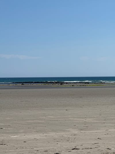 The image depicts a serene beach scene at Ballykinler, United Kingdom, under a clear blue sky. The photograph is oriented vertically, with the sea on the left and the sandy beach on the right. The ocean, a deep blue, meets the shore with gentle waves lapping against a rocky and seaweed-covered waterline. A few birds are visible flying near the water's edge, adding to the natural ambiance.

The beach itself is a vast expanse of light-colored sand, showing subtle textures and patterns from the receding tide. There are no discernible objects or structures on the sand, emphasizing the natural beauty of the location. In the distance, the horizon is clear, with no visible landmasses, suggesting an open view of the sea. A faint hint of clouds is present in the sky.

The time of day appears to be daytime, given the bright sunlight casting no strong shadows. The weather seems pleasant and calm, suitable for enjoying the coastal scenery. The overall mood is one of tranquility and natural splendor. There is no visible text within the image.