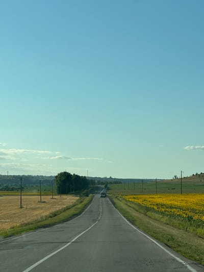 The image depicts a rural road scene, likely on the outskirts of Rudnya, Russia. The road, paved and with white lane markings, stretches into the distance, leading towards a flat horizon. To the left of the road, a field of harvested grain, appearing golden and dry, is visible. Beyond this field, a line of green trees forms a natural boundary, and further in the distance, rolling hills can be seen. To the right of the road, a vibrant field of sunflowers in full bloom creates a striking contrast with the golden grain. Utility poles with wires are spaced along both sides of the road, suggesting the presence of infrastructure. In the far distance, a white vehicle is moving along the road. The sky is a clear, pale blue, with a few wispy clouds scattered towards the horizon, indicating fair weather conditions during daytime. The overall impression is one of a quiet, agricultural landscape under a bright sky.