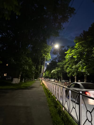 The image captures a street scene at dusk in Vladikavkaz, Russia, with a focus on a tree-lined avenue and a sidewalk. The sky is a deep twilight blue, with some faint clouds visible. Several streetlights are illuminated, casting a warm glow on the surroundings. Lush green trees with full foliage line the avenue, their leaves catching the light and creating a dappled effect on the pavement.

On the right side of the image, a paved sidewalk runs alongside the trees, separated by a black metal railing with a decorative pattern. Several cars are parked along the sidewalk, with their headlights and taillights visible. One car in the foreground appears to be black with its red taillight illuminated. Beyond the cars, more trees and buildings can be faintly seen.

The overall mood is peaceful and serene, characteristic of a quiet evening in a city. The time of day is clearly transitioning from day to night, indicated by the twilight sky and the lit streetlights. The presence of cars and the paved road suggest an urban or suburban setting. There is no visible text in the image. The image is oriented sideways, with the avenue and trees running vertically.