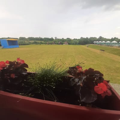 The image depicts an outdoor scene with a large, open green field. In the foreground, a red planter box contains dark-leaved plants with bright red flowers and thin green stalks with small buds. To the left of the field, a blue and yellow stage structure with a metal frame is set up. Further in the distance, a row of small triangular-shaped cabins is visible amongst trees. To the right side of the field, a sloped embankment is lined with white umbrellas and lounge chairs, suggesting a recreational area. The sky is overcast with gray clouds. The location is identified as Dubrivka, Ukraine.