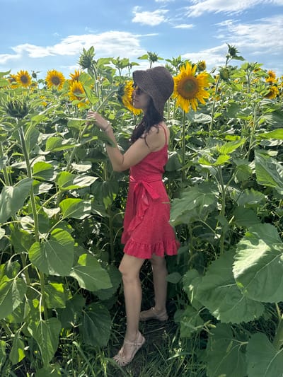 In the city of Peschanoye-Koledino, Russia, a woman stands in a field of sunflowers under a partly cloudy blue sky. She is wearing a red polka dot dress and a straw hat, and is looking towards the sunflowers. The field is dense with tall sunflowers and lush green leaves, with some flowers in bloom and others still budding. The woman is standing amidst the sunflowers, her right hand reaching out to touch a leaf. The sun is shining, casting shadows on the ground.