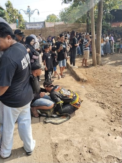 In Mojodoyong, Indonesia, a crowd of people, including children, gathers in an outdoor area. One man kneels on the ground near a large snake, with another man crouched beside him. Both men are dark-haired and wear dark clothing. The crowd watches the men and the snake. Some are holding phones. The ground is bare dirt and concrete. A bamboo fence is visible in the background.