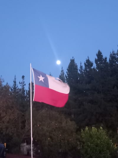 The scene, located in Santa Juana, Chile, is captured during twilight or nighttime conditions. A Chilean national flag, characterized by its blue canton with a white five-pointed star, a white horizontal stripe, and a red horizontal stripe, is prominently displayed on a white flagpole. The flag is shown in motion, indicating the presence of wind. In the dark blue sky, a bright, circular moon is visible, accompanied by a noticeable light ray emanating from it. A dense backdrop of dark green coniferous trees, specifically pines, dominates the upper and mid-ground behind the flag. In the lower left foreground, a partial view of a dark-colored vehicle is discernible, alongside additional dark green foliage and a faint structural element, possibly a fence, in the background behind the flagpole. No individuals are present in the image.