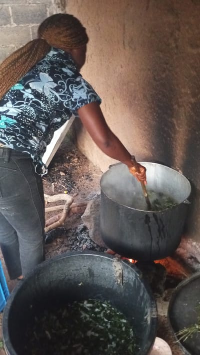 In the city of Barikin Sabon Gidan Kanat, Nigeria, an individual is observed from a rear-side perspective, standing over an open cooking fire. The person, with dark skin and braided hair secured in a long ponytail, wears a dark, short-sleeved shirt featuring a light blue/white floral and dotted pattern, and dark trousers. With their right arm extended, the individual stirs the contents of a large, dark metallic pot with a wooden stick. Steam rises from the pot, which contains green leafy material. The pot is positioned on stones above glowing embers and ash on a dirt floor, indicating a direct-fire cooking method. In the lower left foreground, a large black plastic tub holds a considerable volume of chopped green leafy vegetables. A smaller, partially visible black container with additional green plant matter is situated on the lower right. The background consists of a rough, light-colored block wall on the left and a plain, light brown wall on the right.