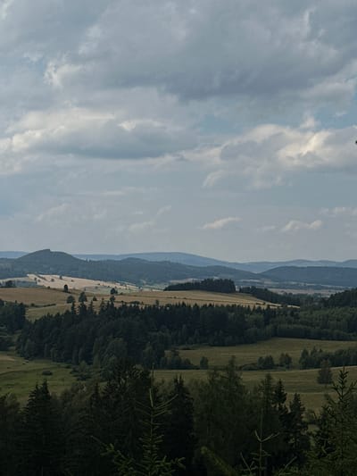 This is an image of the landscape near Chełmsko Śląskie, Poland. The scene depicts rolling hills covered in a mix of forests and fields, with a cloudy sky overhead. The foreground is dominated by dark green coniferous trees. Beyond the trees, the landscape opens up to fields of golden-brown vegetation, likely harvested crops, interspersed with patches of green grass. Further in the distance, layered mountain ranges fade into a hazy blue. The overall impression is one of a rural, natural environment under a dramatic sky. There are no people or animals visible in the image, and no man-made structures are prominent, suggesting a natural, undeveloped area.