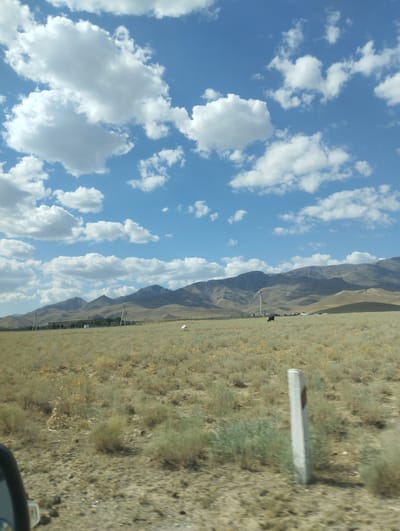 This image depicts a wide, arid landscape with rolling hills in the background, possibly near the city of Temirkavuk, Uzbekistan. The sky is a vibrant blue, dotted with fluffy white cumulus clouds. In the foreground, a dry, grassy plain stretches towards the mountains. Sparse green shrubs are scattered across the field. A white road marker is prominently positioned in the right foreground, showing signs of wear and tear. Further in the distance, a dark, quadruped animal, likely a cow or bull, grazes in the field. A cluster of buildings, possibly a settlement or farm, is visible in the mid-ground to the left, nestled against the foothills. The overall impression is one of a vast, open, and sparsely populated rural environment under a bright, sunny sky.