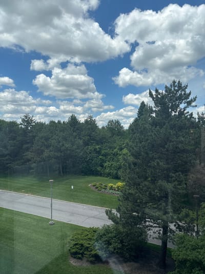 The image depicts a partly cloudy sky over a landscape featuring a variety of trees and a paved road. In the foreground, a tall, slender lamppost stands on a circular base in a grassy area. Adjacent to the lamppost, a road with a white line marking curves to the right. Further into the scene, a dense arrangement of various trees forms a natural backdrop, with a prominent, tall evergreen tree positioned to the right of the frame. The sky above is a vibrant blue, dotted with fluffy white clouds, suggesting daytime. This scene is located in Richmond Hill, Canada.