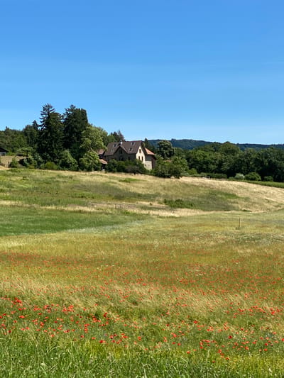 This is a photograph of a rural landscape under a clear blue sky. In the foreground, a field is filled with green grass and numerous red poppies, interspersed with smaller white and blue wildflowers. The field slopes gently upwards towards a larger, drier grassy area with some scattered bushes. Further in the background, nestled amongst a stand of mature trees, is a large stone house with a brown roof, featuring multiple dormer windows. The house appears to be situated on a hillside. Beyond the trees and the house, rolling hills covered in dense green foliage form the horizon. The overall scene depicts a peaceful, natural setting in the countryside, likely during the daytime in late spring or summer. The location is in the municipality of Boudry, Switzerland, specifically in a rural area outside the main town, possibly in the region known for its vineyards and agricultural landscapes. There are no people visible in the image.