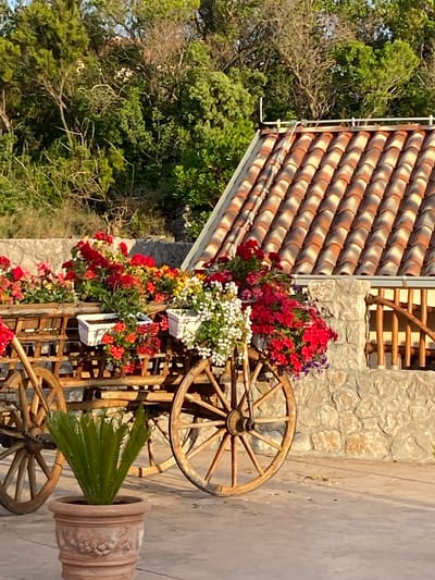 The image depicts a rustic scene with a wooden cart filled with colorful flowers. The cart is situated outdoors on a paved surface, with a stone wall and a tiled roof visible in the background. Lush green trees and foliage surround the area, suggesting a natural or garden setting. The lighting indicates it is likely daytime, possibly late afternoon, due to the warm, soft glow. The cart itself is elaborately decorated with red, pink, yellow, and white flowers, creating a vibrant display. A small green plant in a terracotta pot stands in front of the cart. The architectural elements suggest a Mediterranean or European style. The location is identified as the city of Zagora, Montenegro.