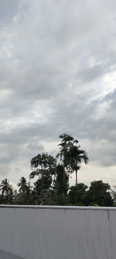The image shows a view of tropical trees against a cloudy sky, from what appears to be a rooftop or elevated vantage point. In the foreground, there is a white, tiled wall with a horizontal metal railing running along its top. Beyond the wall, a dense canopy of various trees, including palm trees and broad-leafed trees, is visible. The sky is overcast with a thick layer of gray clouds, suggesting an impending rain or a generally cloudy day. In the middle ground, several tall trees, some with distinctive palm fronds, rise above the denser foliage. The overall impression is of a lush, tropical environment under a moody sky. The specific location of Meunasahaluedrienlhoksukon Barat, Indonesia, suggests a rural or semi-rural setting within this region. No people are visible in the image.