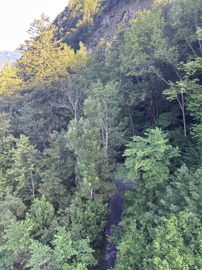 The image shows a steep, densely forested mountainside in Hüsen, Switzerland. Sunlight illuminates the upper portions of the trees, creating a dappled effect. A narrow, dark path or road can be seen winding its way through the trees in the middle ground. The vegetation consists primarily of deciduous trees and some coniferous trees, with various shades of green foliage. The terrain is rugged, with rocky outcrops visible in the upper right section of the image. No people or animals are visible in the scene. The overall impression is one of a natural, untamed landscape.