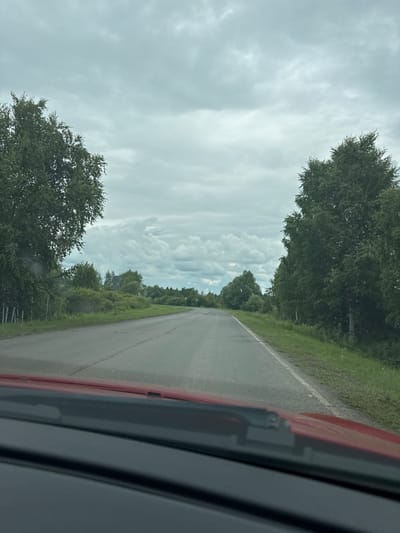 The image captures a view from the perspective of a vehicle traveling on a paved road. The road curves to the left in the distance, disappearing behind a line of trees. On either side of the road, lush green grass and dense foliage are visible, with tall trees flanking the scene. The sky above is overcast with a heavy layer of gray clouds, suggesting a cloudy or potentially rainy day. In the foreground, the red hood of the car and the windshield wipers are visible, indicating the camera is positioned inside the vehicle. The environment appears to be rural, with no buildings or signs of urban development immediately apparent, consistent with the description of the village of Kuzhanovo, Russia, known for its natural landscapes.