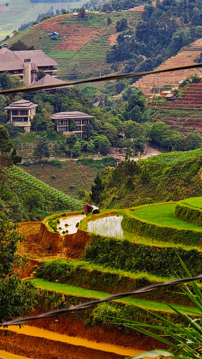 The image captures a detailed view of a terraced agricultural landscape in Pung Luong, Vietnam, encompassing cultivated hillsides, residential structures, and natural vegetation. In the foreground, multiple levels of vibrant green terraced rice paddies are visible, some filled with water reflecting the sky, and others showing young rice seedlings. Two individuals are actively engaged in transplanting rice shoots in a flooded paddy in the mid-lower section; one wears a dark top with a red patterned head covering, and the other wears a white top. Below these planted terraces, several levels of bare, reddish-brown earth terraces are present, some holding shallow water.

In the mid-ground, nestled among dense green trees on the hillside, are several buildings. A prominent large structure features a distinctive thatched roof and a stone chimney. Below it, two multi-story buildings with dark roofs are partially visible. Further up the hillside, a winding road or path is discernible, and a zip-line or cable system with its supporting structure extends across the right side of the mid-ground, indicating a recreational activity. A thick, dark horizontal cable crosses the image slightly above the lower houses and upper terraces.

The background reveals more extensive terraced hillsides, alternating between strips of green vegetation and bare reddish-brown earth. Scattered small, simple structures are dotted across the distant slopes, blending into the landscape. Overcast skies are suggested by the muted light, and the overall environment is lush with various shades of green foliage covering non-cultivated areas.