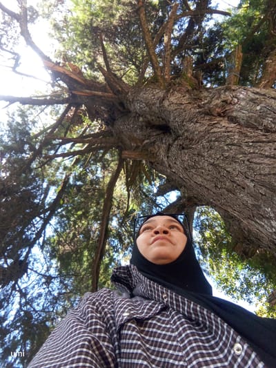 A low-angle outdoor shot shows a woman wearing a black hijab and a plaid shirt. She is looking up towards the canopy of a large tree with textured bark and broken branches, some of which are silhouetted against the sky. The sky is blue with some bright sunlight filtering through the leaves. The location is Gundaling 2, Indonesia.