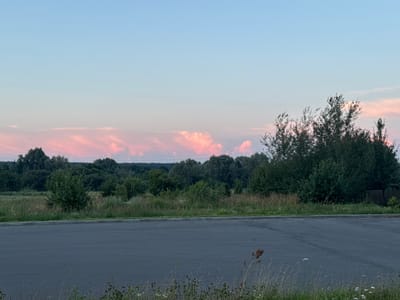 The image shows a rural roadside scene in the Neman Rural Council, Belarus, during twilight. In the foreground, a dark asphalt road occupies the lower half of the frame, with dry grass and some small white wildflowers growing along its edge. A concrete curb separates the road from a grassy verge. Beyond the verge, a dense line of various green trees and bushes forms the middle ground. In the background, a softly illuminated sky transitions from a pale blue at the top to delicate pink and white clouds near the horizon. The overall impression is one of tranquility in a natural, unpopulated setting.