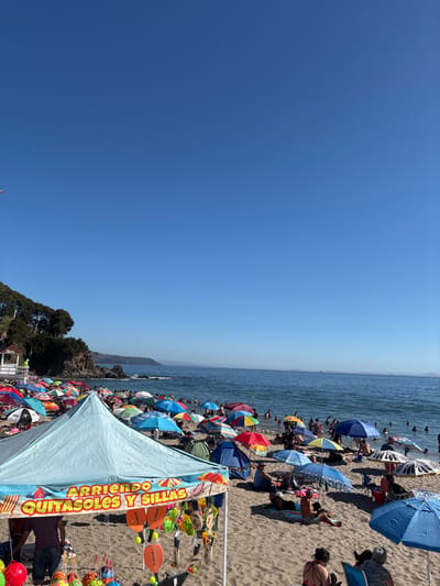 This image depicts a crowded public beach in Tomé, Chile, under a clear, bright blue sky. In the immediate foreground, a light blue vendor tent is visible, displaying "ARRIENDO QUITASOLES Y SILLAS" (Rent Umbrellas and Chairs) in prominent red and yellow lettering. Various beach items, including paddles, inflatable toys, and balls, are suspended for sale or rent from the tent's front. A person is partially visible inside the tent.

The sandy beach area is densely populated with numerous individuals, including adults and children. Many are seated or lying on the sand, primarily sheltered by a multitude of colorful beach umbrellas, which exhibit various patterns including solid red, blue, green, and multi-colored stripes. In the midground, a significant number of people are observed swimming and wading in the calm, blue ocean water.

To the left, a steep, green hillside covered with dense trees forms the background, with a white, multi-sided gazebo structure situated on a lower section of the slope. The ocean extends to the right, meeting the horizon where a distant landmass is faintly visible. The entire scene is brightly illuminated by direct sunlight, indicating clear weather conditions.
