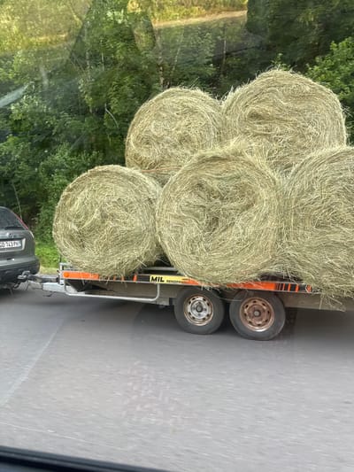 A trailer laden with round hay bales is being towed on a paved road. The trailer has multiple wheels and a metallic frame. The hay bales are tightly packed and appear dry and golden. The scene is viewed from a slightly elevated angle, likely from inside a vehicle. To the left of the trailer, a dense green forest is visible, with sunlight filtering through the leaves, suggesting it is daytime and the weather is fair. In the foreground, the rear of a car is visible, with a license plate that reads "GD-743PH". The road surface is grey and appears wet in places, possibly from recent rain or moisture. Text is visible on the side of the trailer, partially obscured but appears to say "MIL REMORQUES". The overall impression is one of rural transportation, likely of agricultural produce.