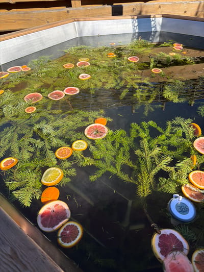 The scene depicts an outdoor rectangular basin, possibly a large hot tub or bath, located in Skotnoe, Russia. The basin features light-colored wooden top edges and silver-toned metal-clad sides. The dark water within the basin is filled with numerous floating green evergreen branches, resembling spruce or fir. Interspersed among the branches are multiple slices of citrus fruits, including red grapefruit, orange, and lemon slices. In the lower right quadrant, a floating digital thermometer displays "38.5", indicating the water temperature. Sunlight illuminates the scene from the upper left, casting shadows towards the right side of the basin. No individuals are visible.