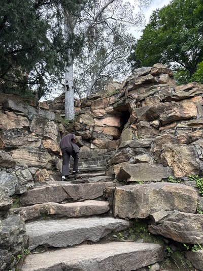 The image captures a person ascending a rugged stone staircase carved into a prominent rock formation in Haidian District, China. The individual, viewed from behind, is an adult wearing a dark-colored shirt or jacket, dark trousers, white socks, and dark shoes. A dark garment or item is carried over their left arm. The staircase comprises large, irregularly shaped grey and brown stone slabs, with small green plants and moss growing in the crevices. To the right of the ascending person, a substantial wall of stacked, irregular brown and grey rocks forms part of the landscape, featuring a dark, irregular cave-like opening or niche approximately midway up the formation. Above and behind the rockery, various trees are visible against a bright, overcast sky. These include dense, dark green coniferous foliage on the upper left, and a prominent tree with light-colored, possibly white bark on the upper left-center, alongside other green-leafed deciduous trees. Small green vegetation is interspersed throughout the rocky terrain and along the steps.