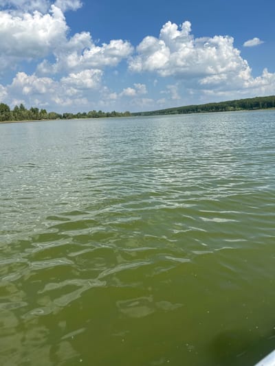 A wide shot captures a body of water with a shoreline of trees in the distance under a bright blue sky dotted with fluffy white clouds. The water is a greenish hue, with ripples indicating a gentle breeze. The scene is serene and appears to be a natural landscape. The location is not specified in the city of Pravda, Russia.