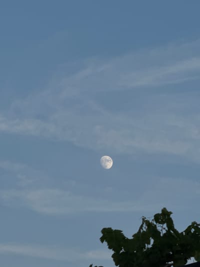 The image depicts a daytime scene in Khazar Raion, Azerbaijan, featuring a clear, pale blue sky with wispy white clouds. The moon, partially illuminated, is visible in the upper right quadrant of the sky. In the top right corner, a portion of a dark green leafy tree branch hangs into the frame, obscuring some of the sky. The lighting suggests it is daytime, possibly late afternoon or early morning given the brightness of the sky and the visibility of the moon. There are no people or specific structures visible, focusing solely on the natural elements of the sky and a hint of foliage. The scene conveys a sense of calm and openness. There is no visible text in the image.