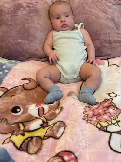 An overhead shot captures a baby lying on a plush pink blanket with cartoon animal designs. The baby, wearing a light blue onesie and grey socks, is positioned in the center of the frame, facing forward with a slight tilt of their head. Their legs are spread apart, and their arms are resting on their lap. The blanket features a large brown cartoon bear on the left and a cluster of pink and yellow flowers on the right. Behind the baby is a large, dark pink, textured pillow. The scene appears to be an indoor setting, likely a bedroom or living area. There is no specific identifiable location in Wolfsburg, Germany.