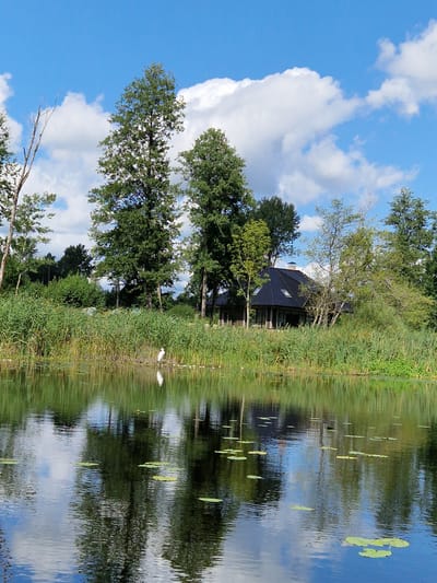 The image depicts a tranquil waterscape with lush vegetation and a modern house nestled amongst trees. A single white egret stands on the bank of the body of water, which reflects the sky, clouds, trees, and the house. The house has a dark-colored roof and large windows. The surrounding environment is characterized by tall reeds and various trees under a bright blue sky dotted with white clouds. The scene suggests a peaceful, possibly rural or suburban setting, potentially in Viesīte, Latvia, given the context. The overall impression is one of serenity and natural beauty.