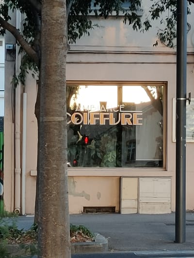 The image shows a storefront with a large window. The words "AMBIANCE COIFFURE" are visible on the window in large, white lettering with a yellow outline. Inside the window, there are plants and a red light is visible. A tree trunk is in the foreground, obscuring part of the storefront. The building appears to be on a street in Perpignan, France. The building has a light-colored facade and a window with a wooden frame. There is a street in front of the building with a sidewalk and some greenery. A lamppost is visible on the right side of the image. The time of day appears to be late afternoon or early evening, as indicated by the warm light reflecting on the building and in the window.