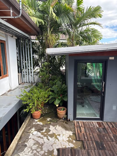 This is an eye-level, medium outdoor shot of a modern building exterior with lush tropical greenery. The scene is oriented vertically, suggesting the camera is held sideways. The building features a dark grey wall with a large, black-framed glass door or window, reflecting the surrounding plants and sky. To the right of the door, a wooden deck made of narrow planks is visible, partially wet with water stains or puddles on the concrete ground.
Several potted plants are placed near the building. Two terracotta pots contain green, leafy plants, one larger and bushy, the other smaller with finer leaves. A third, larger plant with broad leaves and some pinkish flowers is nestled behind them. A tall palm tree with large fronds dominates the left side of the frame, its leaves reaching towards a bright, cloudy sky. The building's roofline, with a wooden soffit and a grey metallic gutter, is also visible. Below the palm tree, a section of a building with wooden siding and a metal railing suggests a balcony or upper level. A white air conditioning unit is visible on this lower level.
The lighting suggests it is daytime, with bright sunlight casting shadows and highlights, particularly on the wet concrete and wooden deck. The presence of lush vegetation and the style of the building and decking are indicative of a tropical or subtropical location, consistent with the provided location context of "บ้านกาญจน์กนก 23, Thailand." There is no discernible activity or people in the image, and no visible text. The overall impression is one of a well-maintained, modern outdoor space integrated with nature.