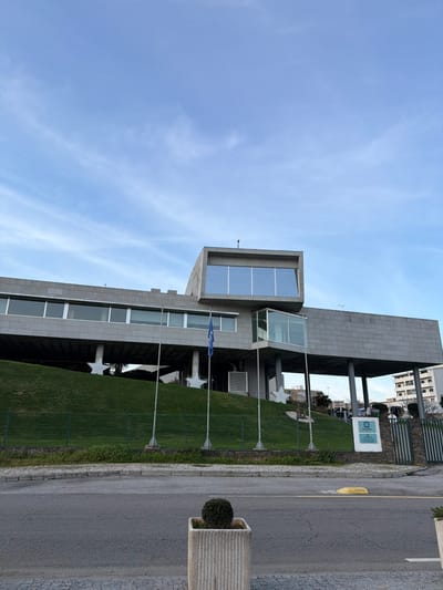 A full-shot photograph captures the City Hall (Câmara Municipal) building in Peso da Régua, Portugal, under a clear blue sky with sparse, wispy clouds. The modern, multi-level structure features a grey, textured stone or concrete facade. A prominent cantilevered upper section on the left displays a large, rectangular array of reflective glass windows. Below this, a longer, horizontal section also features a continuous band of windows. A smaller, glass-enclosed section connects different parts of the building's lower levels. The building is elevated, supported by numerous concrete pillars, some of which are integrated with decorative white star shapes, above a steeply sloped, manicured green grassy embankment.

Four bare metal flagpoles are erected on the grassy slope in front of the building. One of these flagpoles, centrally located, flies a blue flag adorned with white stars. A green metal fence delineates the base of the grassy area. In the immediate foreground, an asphalt road runs horizontally across the frame, flanked by a cobblestone sidewalk. A square, fluted concrete planter containing a small, spherical green bush is positioned on the sidewalk in the lower center. To the right, a yellow concrete parking block is visible on the asphalt, adjacent to a dark metal gate that provides access to the building's premises. Distant multi-story buildings are visible in the background, particularly to the right of the main structure, indicating an urban setting. No individuals are present in the scene.